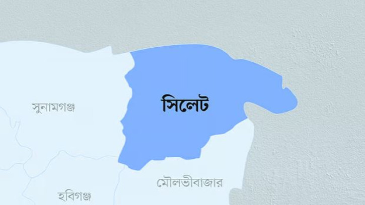 আবারও পরিবর্তন: কোম্পানীগঞ্জের নতুন ইউএনও হলেন মোহাম্মদ রবিন মিয়া