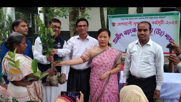 হোমনায় গ্রামীন ব্যাংকের বৃক্ষরোপন কর্মসূচি পালন