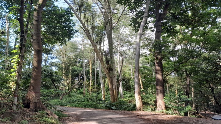চট্টগ্রামের বুকে সবুজের স্বর্গ বাটালি হিল